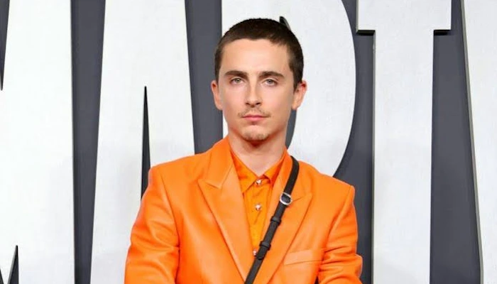Qui Est Timothée Chalamet