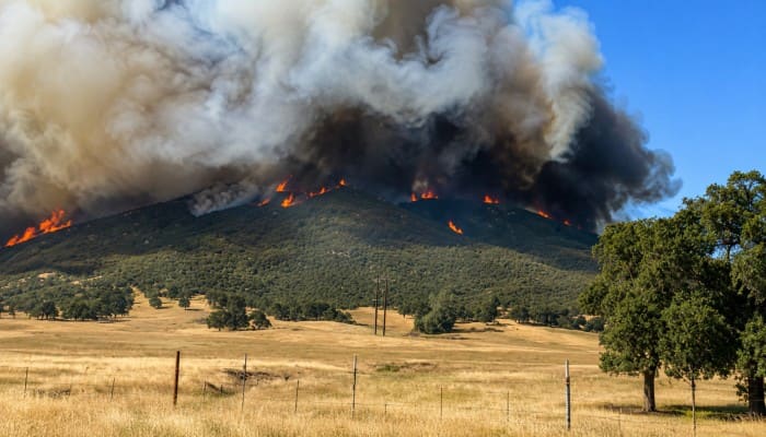 Incendie Dans le Comté de Calaveras